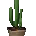 Icon of Beautiful Cactus