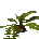 Icon of Plant