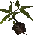 Icon of Plant