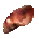 Icon of Venom Gland Sample