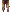 Icon of Carnation Pants