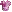 Icon of Pink Islander Shirt