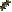 Icon of Abilities NCU - Type 37 (5/6)