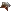 Icon of Monarch Gem of the Eternal Juggernaut