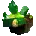 Icon of Emerald
