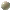 Icon of Perfectly Cut White opal