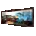 Icon of Commemorative Marriage Painting: Notum Tree