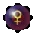 Icon of Gender Change - Female