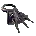 Icon of Basic Feet Implant