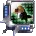 Icon of Premium Nano Crystal (Pronouncement of Magnanimity)